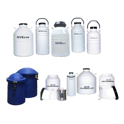 mve 運輸系列 mve 運輸系列