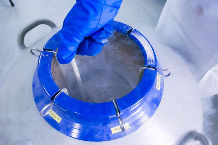 大口徑液氮罐 大口徑液氮罐